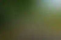 Изображение галереи