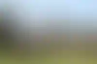 Вид на стену и башню Тульского кремля