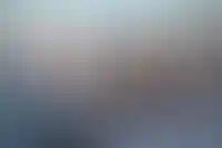 Изображение галереи