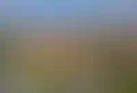 Вид сверху на Коломенский кремль