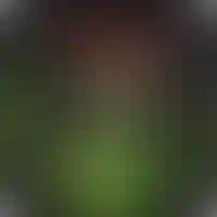 Изображение галереи