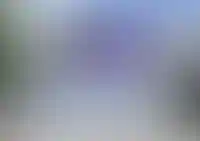 Изображение галереи