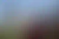 Грозный. Вид на комплекс высотных зданий «Грозный-Сити» и мечеть «Сердце Чечни» имени Ахмата Кадырова.