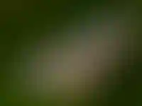 Пятигорск. Академическая (Елизаветинская) галерея, где располагаются бюветы минеральных (углекислых и углекисло-сероводородных) источников.