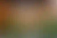 Изображение галереи