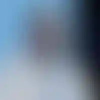 Антон Елистратов