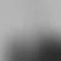 Николай Васёв