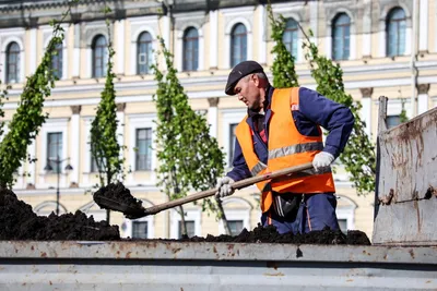 Квартиры в Москве подорожают из-за новых норм озеленения — эксперты_9060