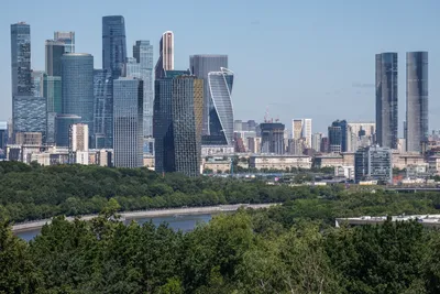 Мэрия Москвы не смогла продать участок в «Сити-2» за 12 млрд рублей_8008