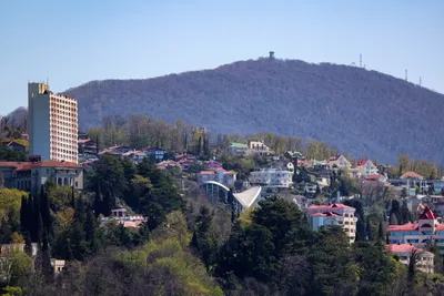 Цены на элитные новостройки в Сочи упали до минимума за последние 5 лет_6311