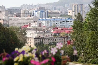 Застройщик «Самолет» продал проект в Мурманске «Аквилону»_8329