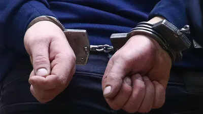 Число приговоров за мошенничество с жильем выросло почти в два раза за восемь лет_6294