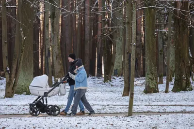 Маткапитала хватает на покрытие более половины ПВ за ипотеку в 67 регионах России_5576